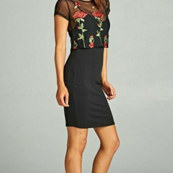 Dresses & Skirts - Two Piece Embroidered Rose Dress